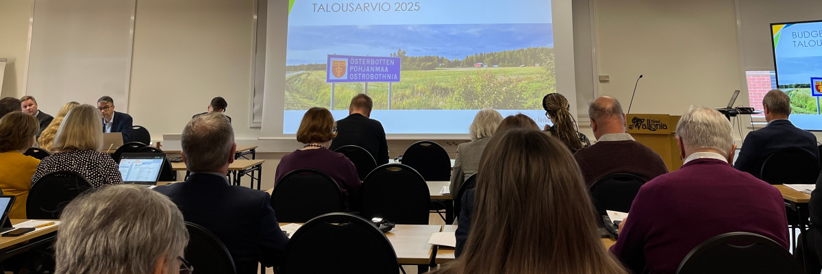 Fullmäktigemöte. Valtuuston kokous.