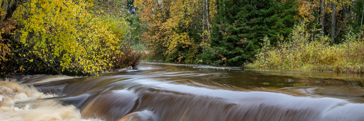 Fors i Forsby. Koski Forsbyssä.